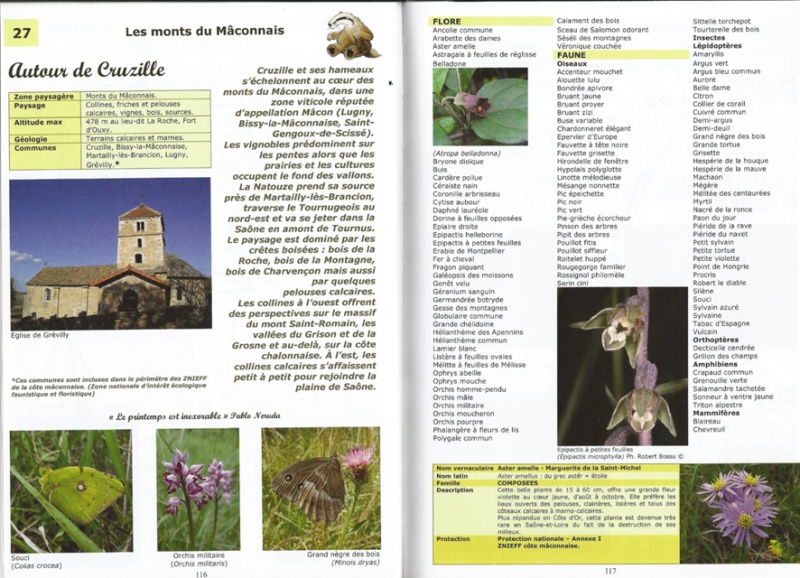 Fichier:Cruzille natureDocsPSB.jpg