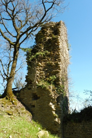 Lournand--ruines-muraille.JPG