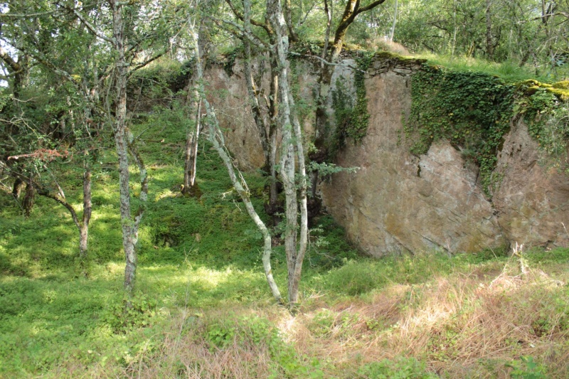 Fichier:LournandChâteau (62).JPG