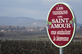 Panneau des vignerons de Saint-Amour.jpeg
