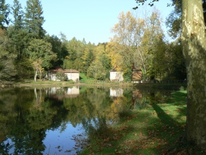 L'étang de Pézanin.