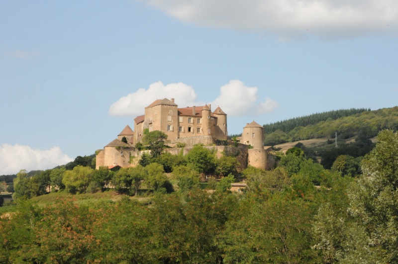 Vue du château par l'ouest, depuis Sologny